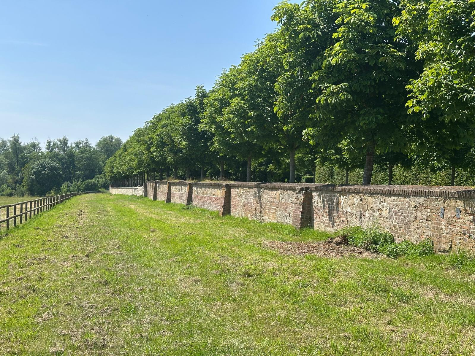 Altfugenerneuerung an historischer Sandsteinmauer